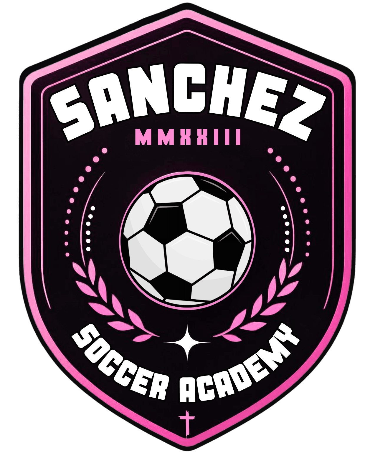 Sanchez Soccer academy